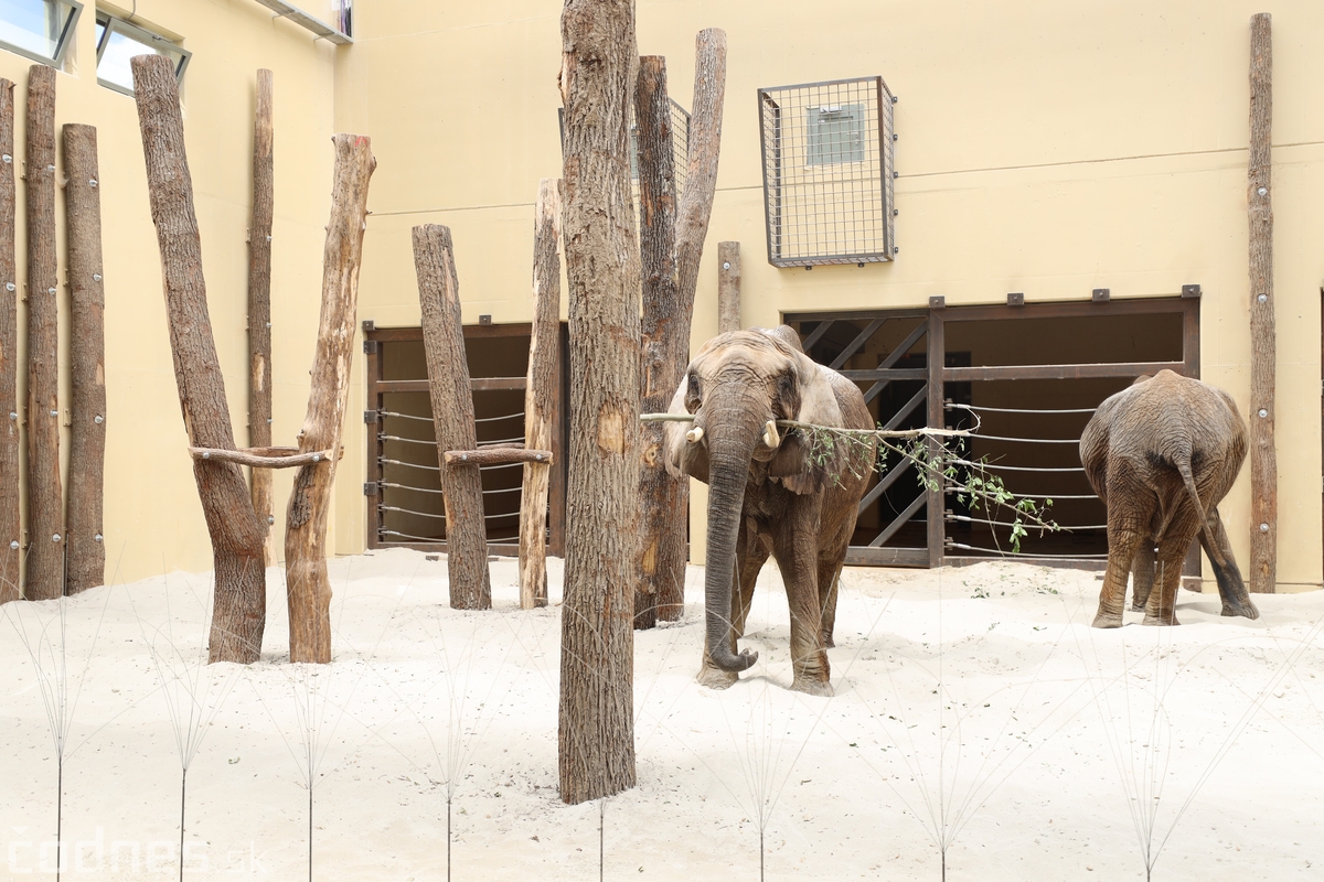 Foto a video: V Zoo Bojnice dnes otvorili nový pavilón pre slony