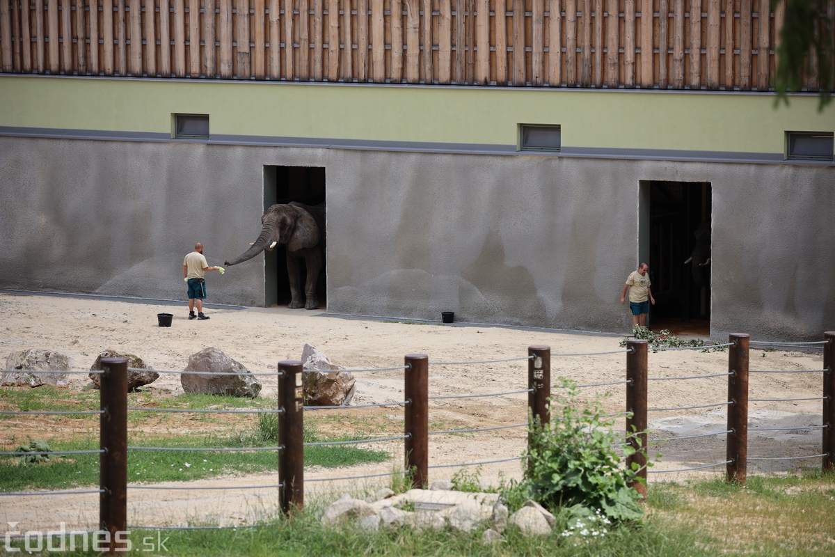 Foto a video: V Zoo Bojnice dnes otvorili nový pavilón pre slony