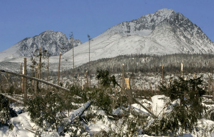 Pred 20 rokmi zasiahla Tatry pohroma, ktorá ich zmenila na nepoznanie