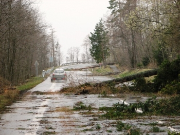 V Tatrách vyvracal vietor stromy.