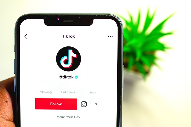 TikTok sa pripravuje na to, že od nedele ukončí prevádzku v USA. Konkurenčné platformy môžu zvýšiť príjmy z reklamy