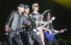 scorpions