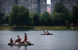 petrzalka drazdiak