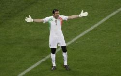 buffon