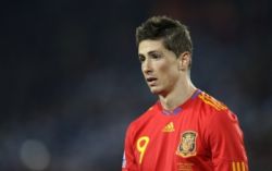 fernando torres