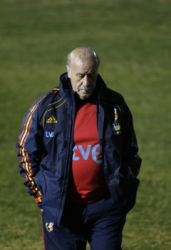 vicente del bosque