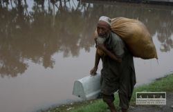 pakistan