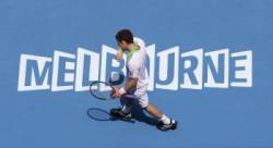 andy murray