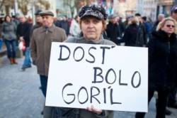 gorila