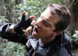 bear grylls