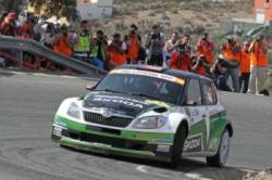 skoda motorsport ilustracka