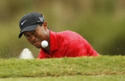 tiger woods