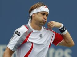 david ferrer