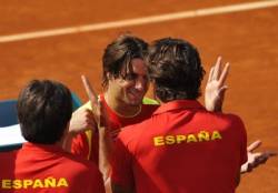 david ferrer