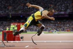 oscar pistorius celi sudu