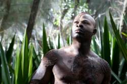 djimon hounsou