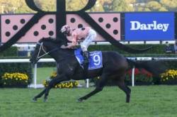 kon dostihy blackcaviar