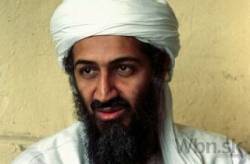 bin ladin