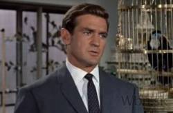 rod taylor