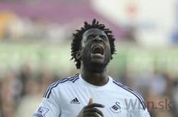 wilfried bony