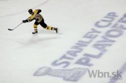 zdeno chara