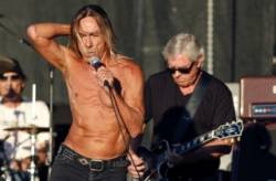 iggy pop