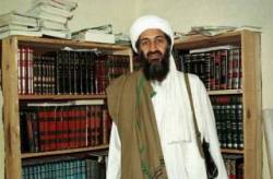 bin ladin