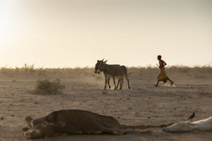 ethiopia_horn_of_africa_drought_54200 e7dc62484d7d49d5969c9d203703a659 676x451